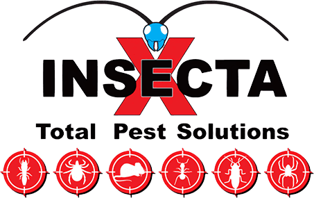 Insecta - Total Pest Solutions