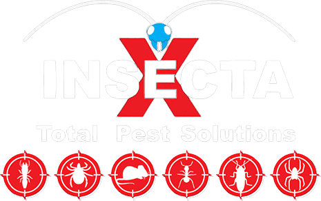 Insecta - Total Pest Solutions